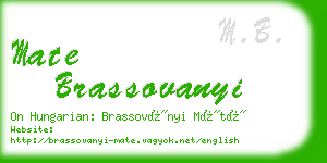 mate brassovanyi business card